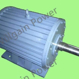 Low Rpm AC Permanent Magnet Generator for Low Price